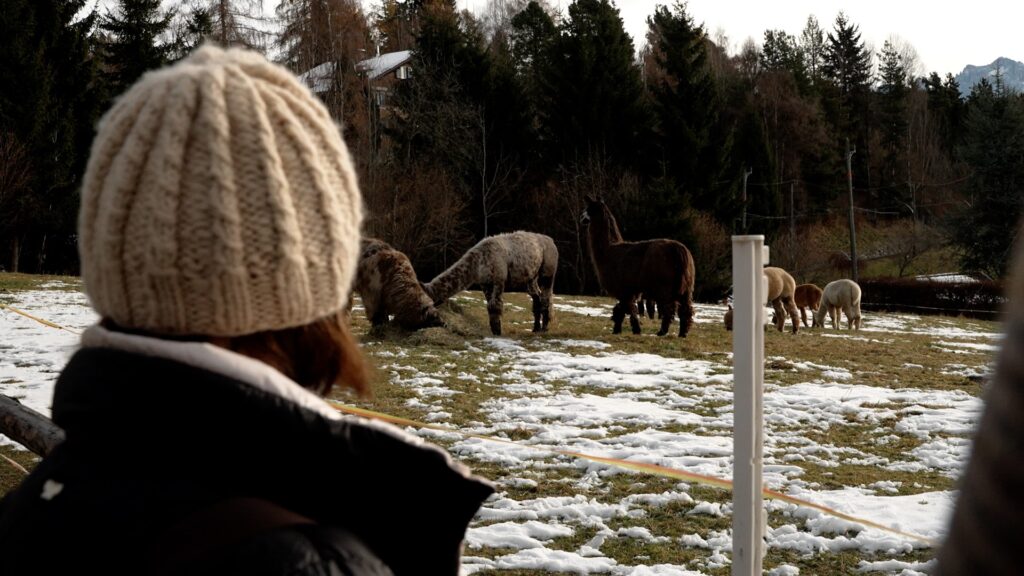 Sigmund-Freud-Promenade am Ritten
